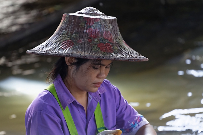 Talin chan-NOV13-174